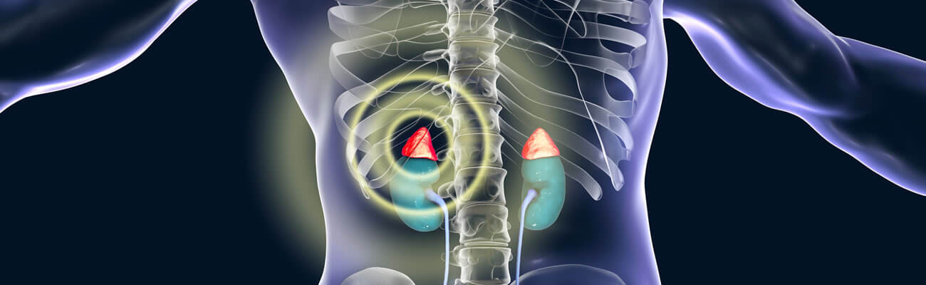 Adrenal & gonadal disorders