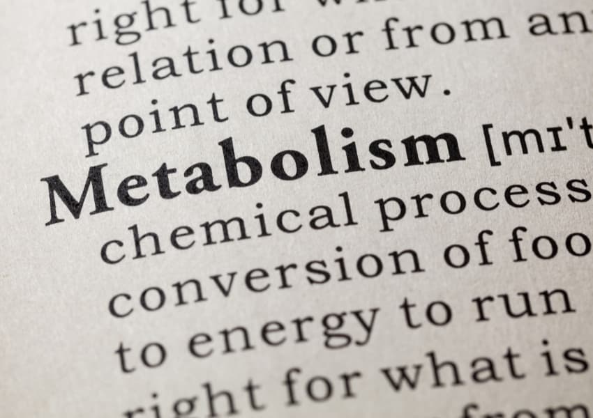 Metabolism