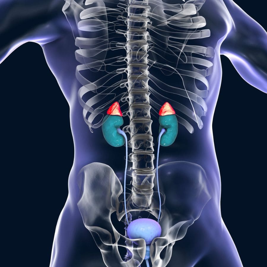 endocrine disorders